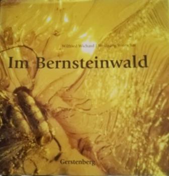 Im Bernsteinwald